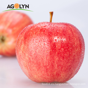 La fábrica de buena calidad proporciona manzanas frescas de gran tamaño